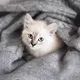 qwdefwr