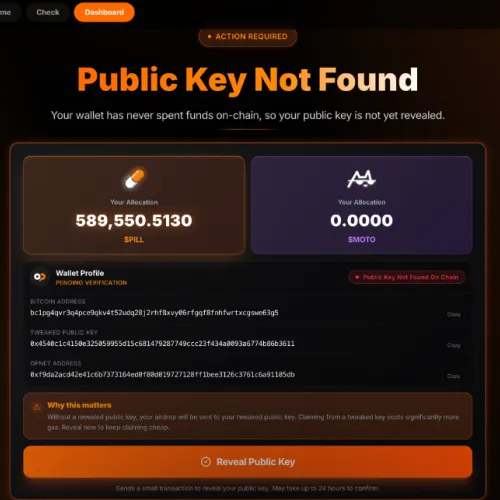 Scammer