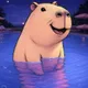 Capy