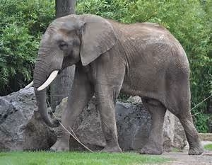 Olympian legends revisited