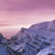 sdf