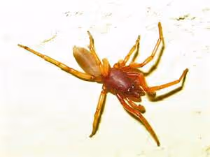 Artistic expression workshops