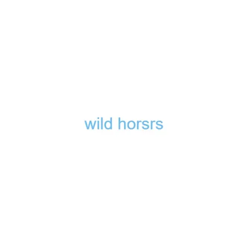 wild horsrs