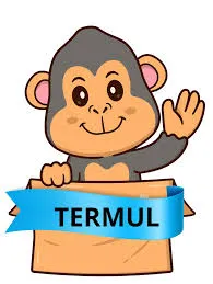TERMUL project