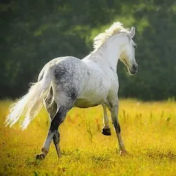 Entrepreneurship boot camps