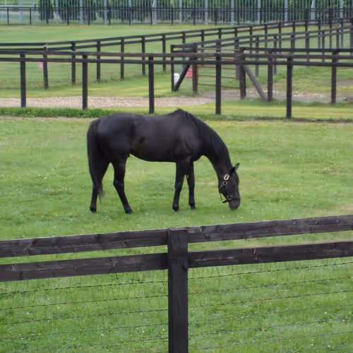 Seaside paradise retreats