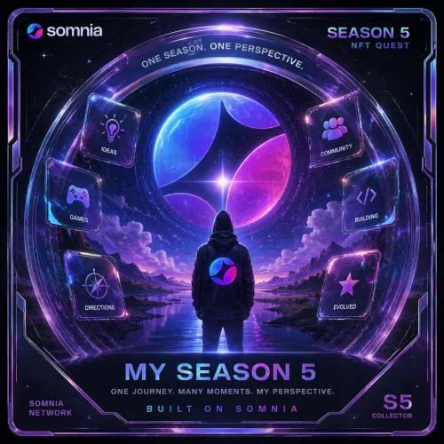 Somnia: One Season, One Perspective