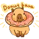 Donat Bara