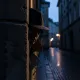 Spy