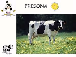 Breaking societal barriers