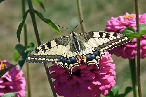 Spa and wellness retreats