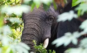 Innovations shaping tomorrow