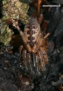 Mind-body harmony journeys