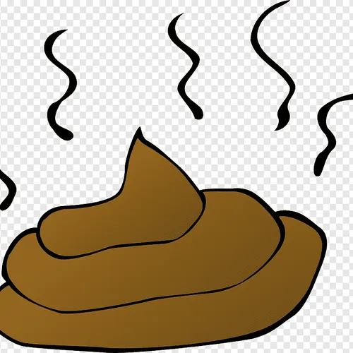 Sasa