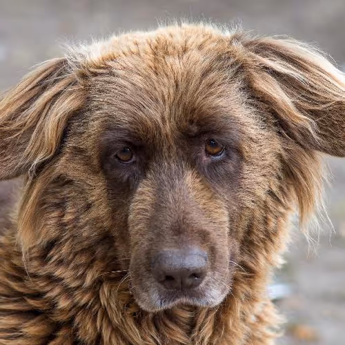 Cooking classes abroad