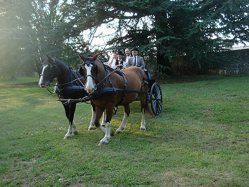 Entrepreneurship boot camps