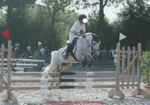 Empathy and resilience