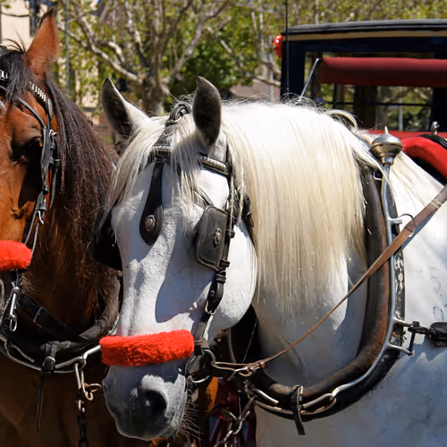 Volunteer travel experiences