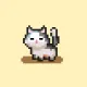 Miaw Miaw