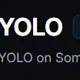 YOLO