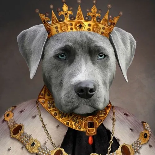 Dog King