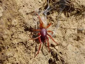 Digital nomad lifestyle