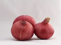 OnionVERs