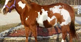 Historical landmarks exploration