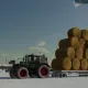 dsf
