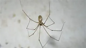 Train journeys across lands