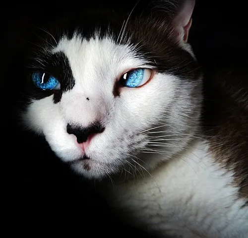 Space exploration frontiers