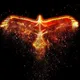 fenix