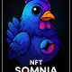 Somnia Chicken