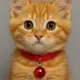 The Cat Soms