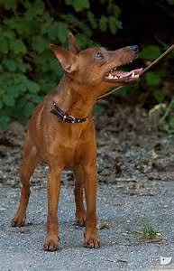 Empathy and resilience