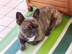 Treasure hunting escapades