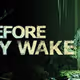 Before the Day Wakes