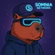 SomBara