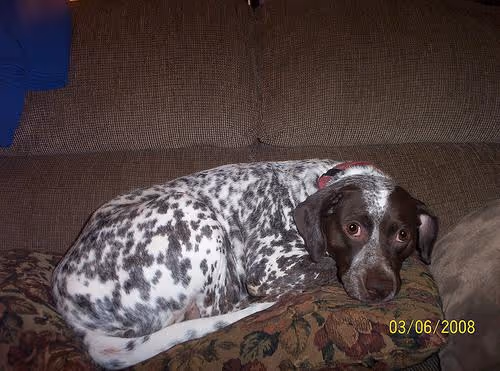 Train journeys across lands