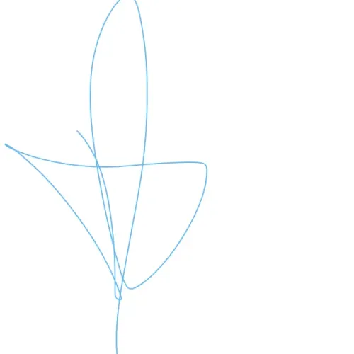 dvcvb4rbg