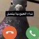 jhvghvvhg