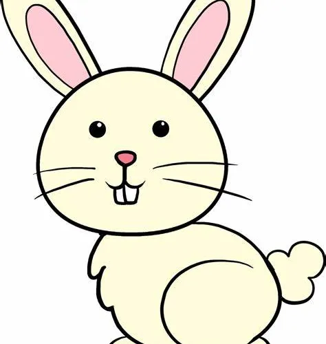 rabit