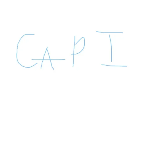 capi capy error