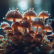 mushroom