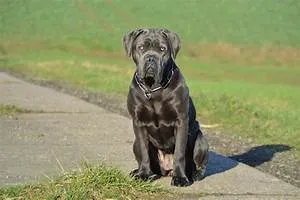 Northern lights spectacle