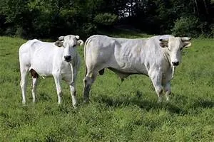 Inspiring artistic endeavors