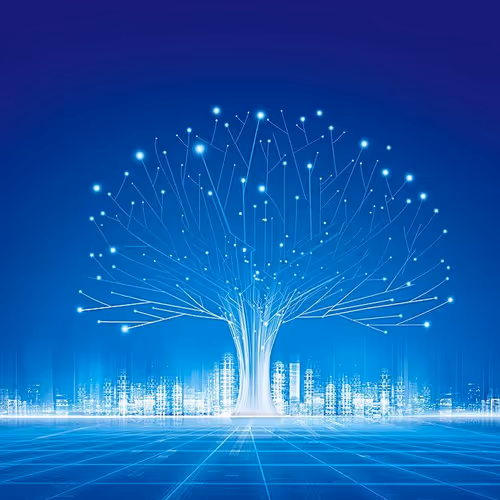 Christmas Management