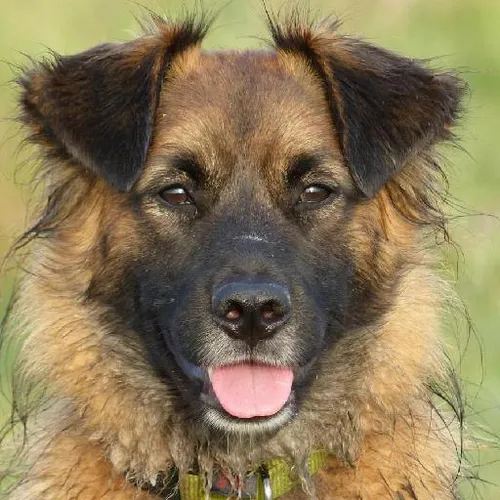 Personal development seminars