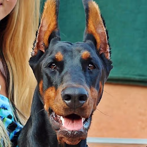 Empowering women worldwide