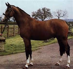 Space exploration frontiers